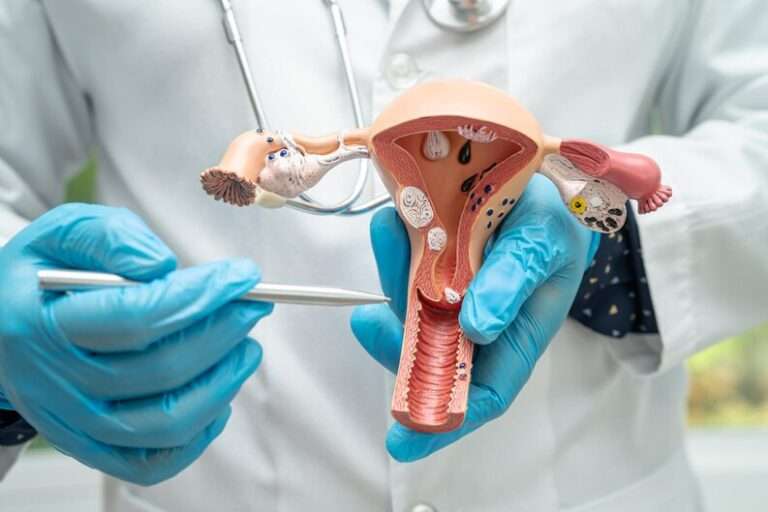 La Gynécologie-Obstétrique : Accompagner la Femme à Chaque Étape de sa Vie